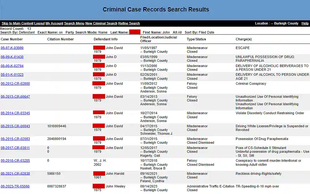 A screenshot of the search feature where individuals can obtain criminal case records.